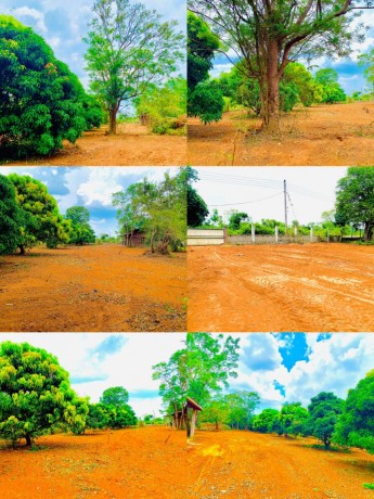 House with land sale in Monaragala