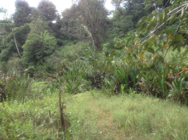 land for sale in yatiyana