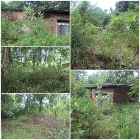 Land with House Sale Balagolla