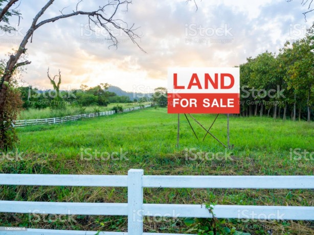 Land for Sale in Hokandara