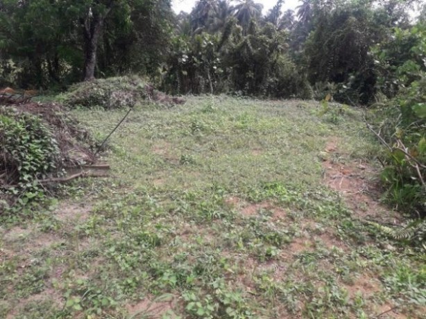 Land sale  in Kuruwita