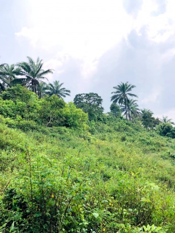 Land for sale in Walahanduwa