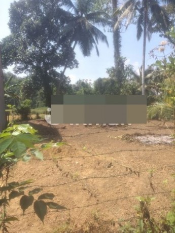 Land for Sale in Hadapangoda