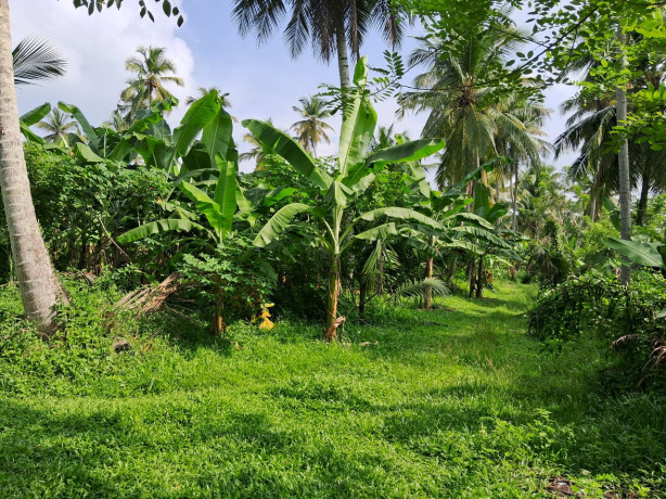 කඳනේගෙදර, වගුරුවෙල, අක්කර 5ක සින්නක්කර ඔප්පු