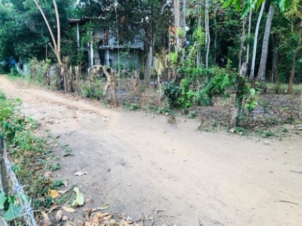 Land for sale in Thissamaharama