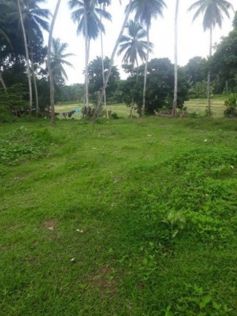Land For Sale In Kegalle Imbulgasdeniya