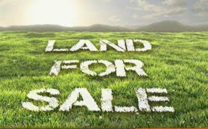 land for sale chilaw