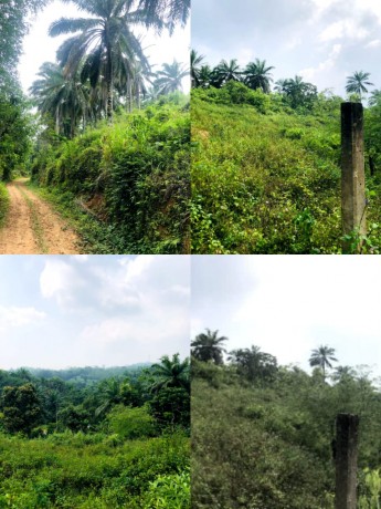 Land for sale in Walahanduwa