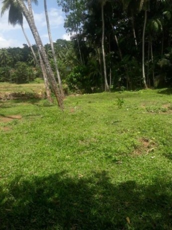 Land For Sale In Kegalle Imbulgasdeniya