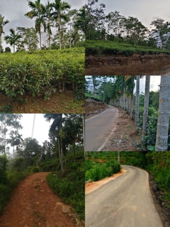 Land with 2 house sale in Galle